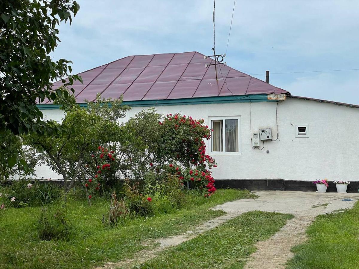 Hotel By River 246 Karakol Esterno foto